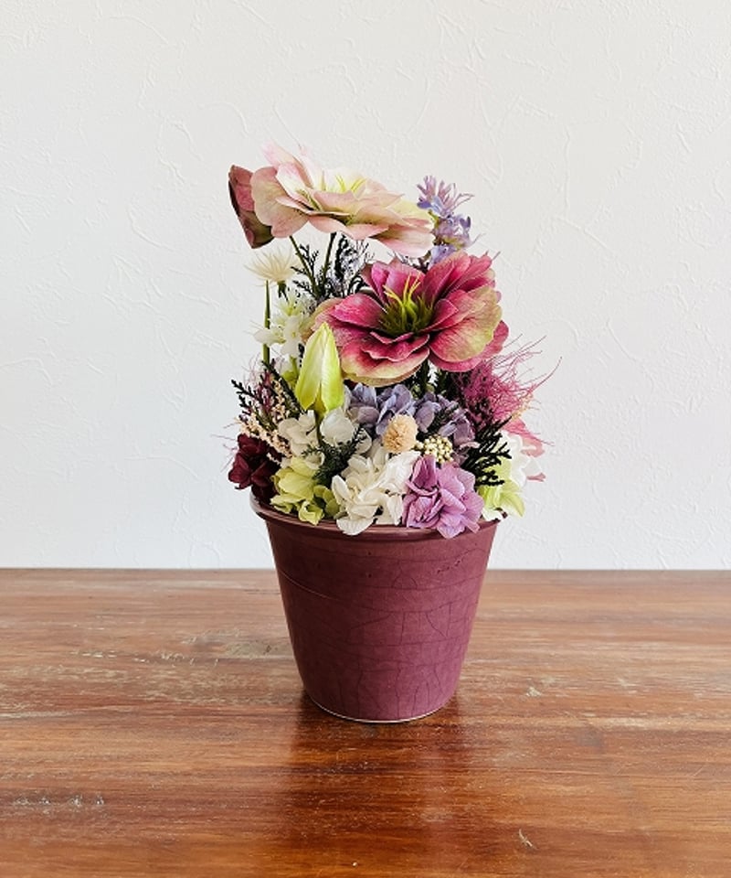 Christmas rose / クリスマスローズ】 МL ヴィオレッタ | Little