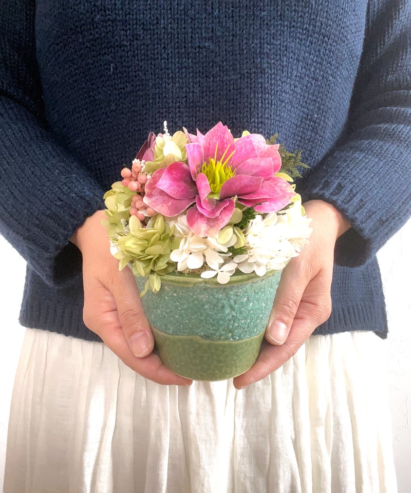 Christmas rose / クリスマスローズ】 SS フォレスト | Little G