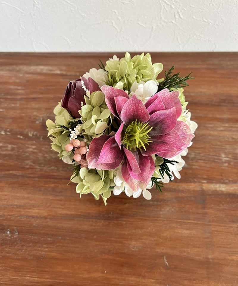 Christmas rose / クリスマスローズ】 SS フォレスト | Little G