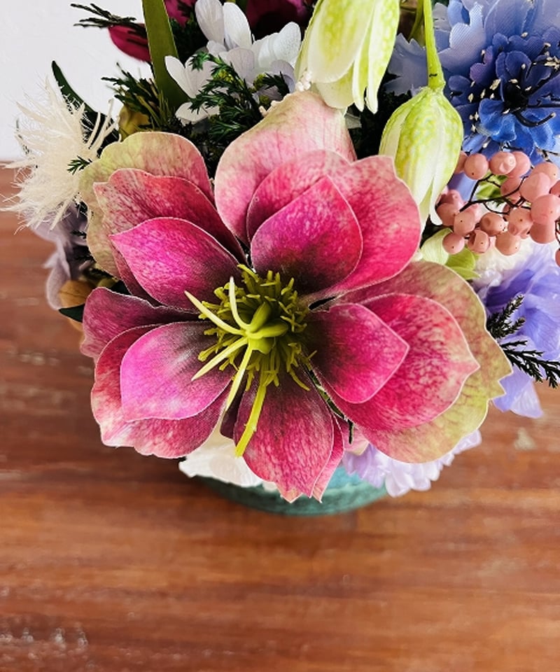 Christmas rose / クリスマスローズ】 L フォレスト | Little