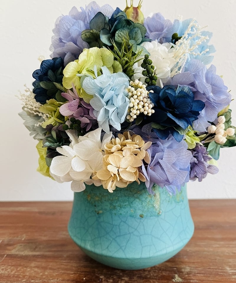 Hydrangea / ハイドランジア】 LL オーシャン | Little Gardener