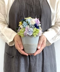 【Hydrangea / ハイドランジア】　S  　アイス