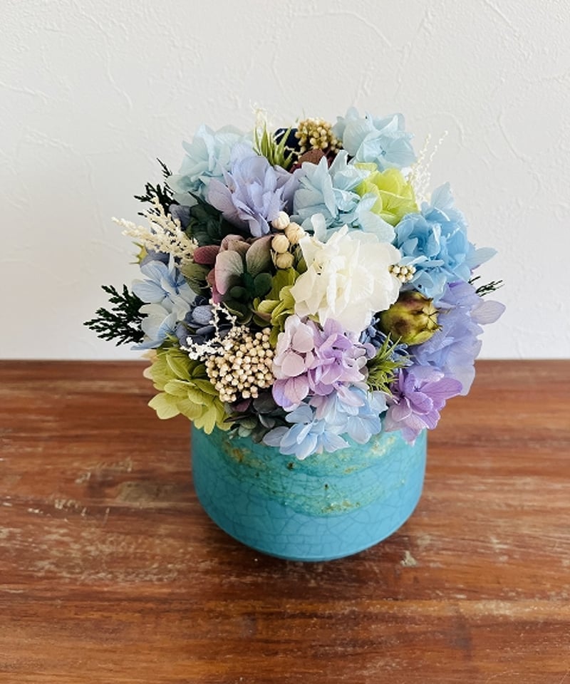 Hydrangea / ハイドランジア】 L オーシャン | Little Gardener