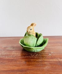 【うさぎタウンの仲間たち】　　キャベツウサギ