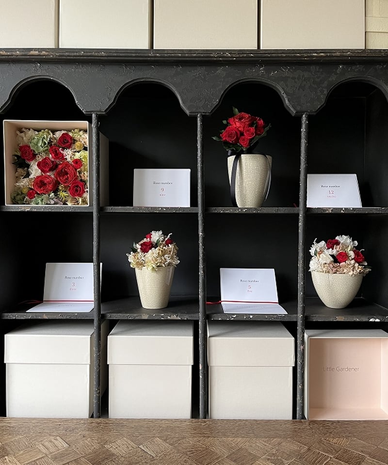 ○Dozen rose / ダズンローズ 12本のバラの花 （赤 / ブーケタイプ）