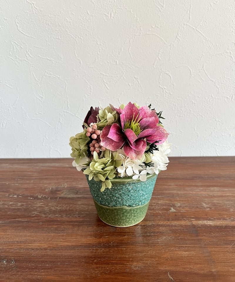 Christmas rose / クリスマスローズ】 SS フォレスト | Little G