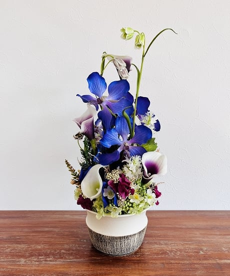 【oh flowers / オーフラワーズ】　Look from all angles   /  Vanda ヒスイラン