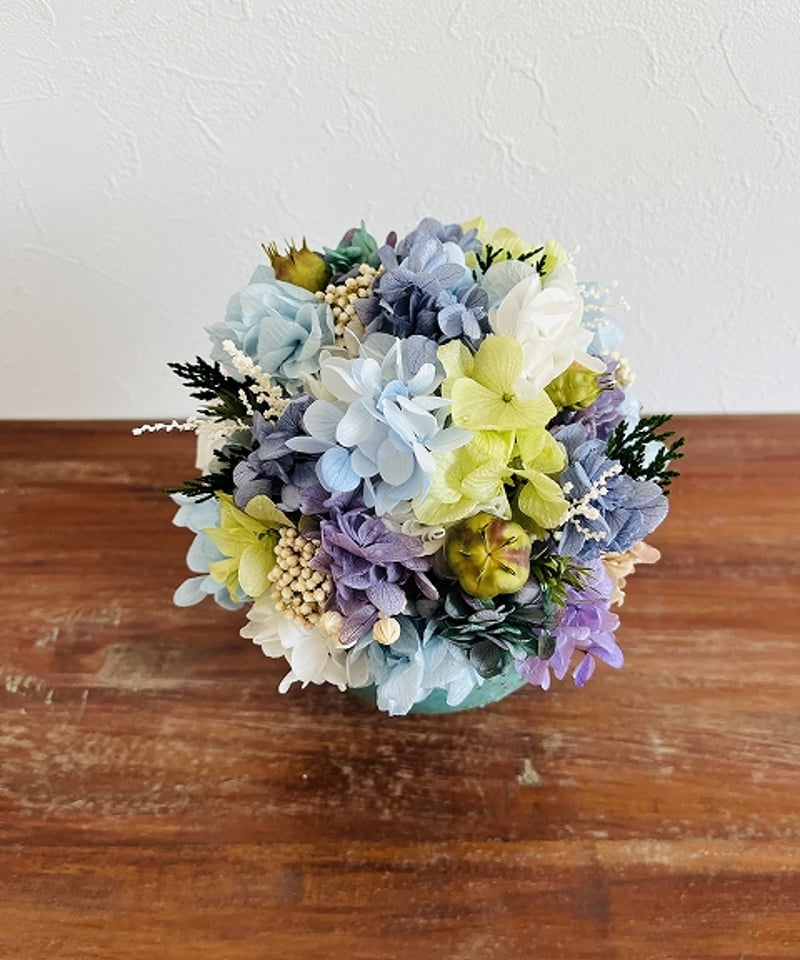 Hydrangea - Aquilegia(ハイドランジア-アキレギア) Akigawa Valley Hydrangea Festival 2025