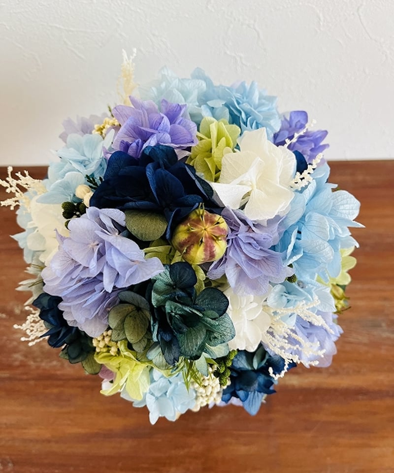 Hydrangea - Aquilegia(ハイドランジア-アキレギア) Hydrangea