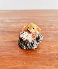 【うさぎタウンの仲間たち】　　ハリネズミさんと仲良し