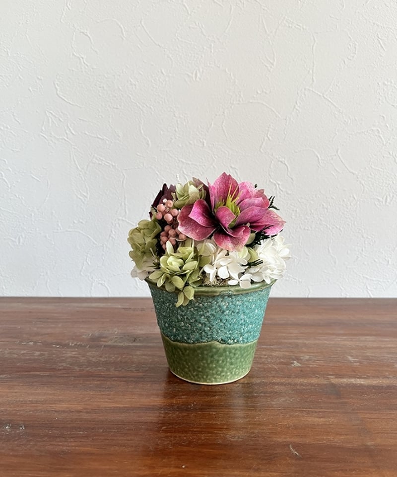 Christmas rose / クリスマスローズ】 SS フォレスト | Little G