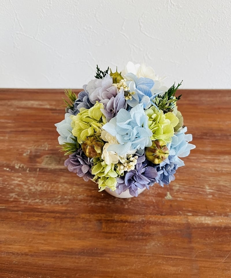 Hydrangea - Aquilegia(ハイドランジア-アキレギア) Hydrangea / ハイドランジア】 LL オーシャン | Little Gardener