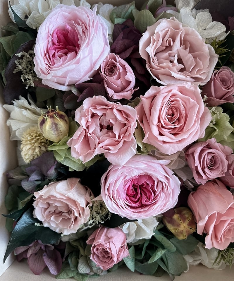 ○Dozen rose / ダズンローズ 12本のバラの花 （ピンク
