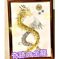 奇跡の金龍