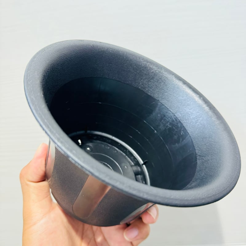 台湾6寸丸鉢×20個 | ever_plants