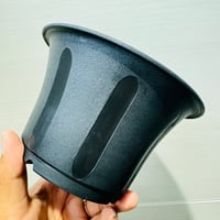 台湾6寸丸鉢×30個