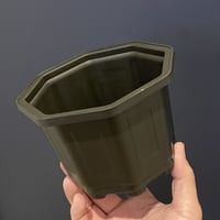 新品　台湾八角鉢　5寸　　Agave鉢　50個 台湾鉢（八角鉢5寸）5個セット | AgaveLives