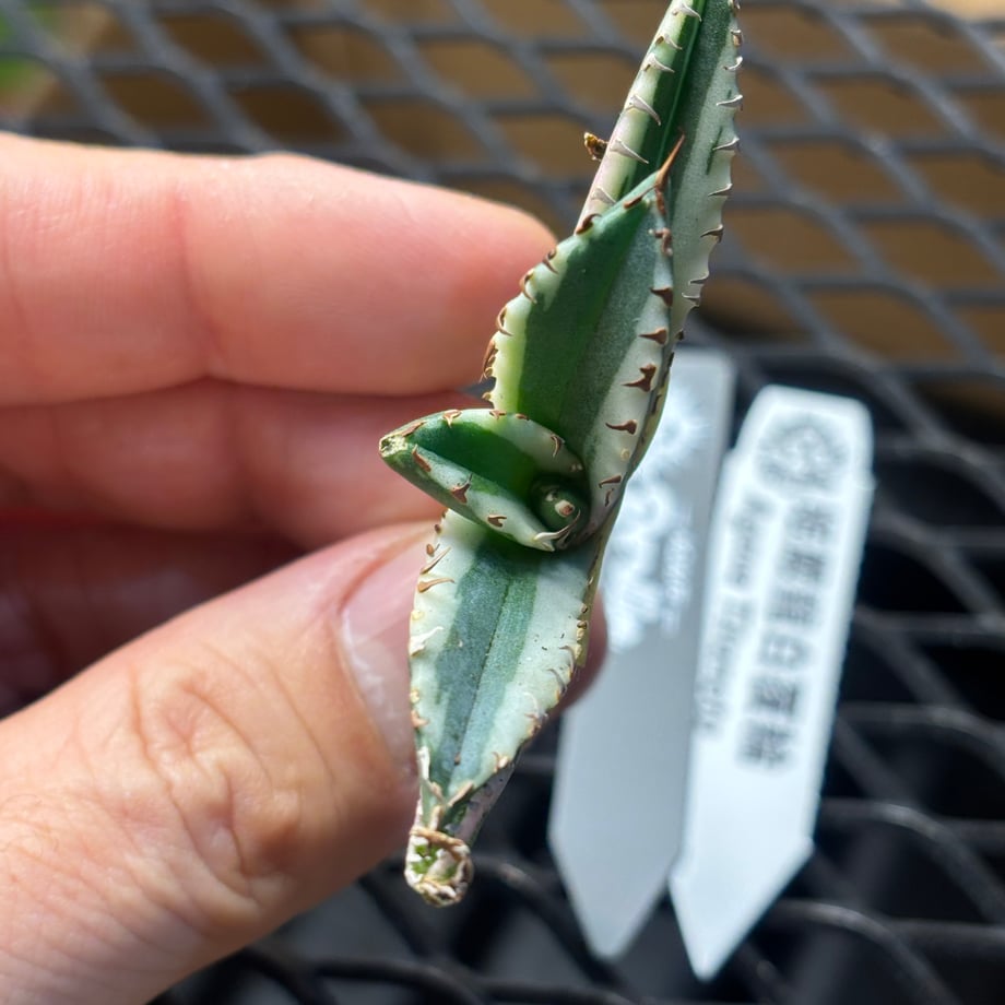 697ca2f123e190b02c0f7ec1