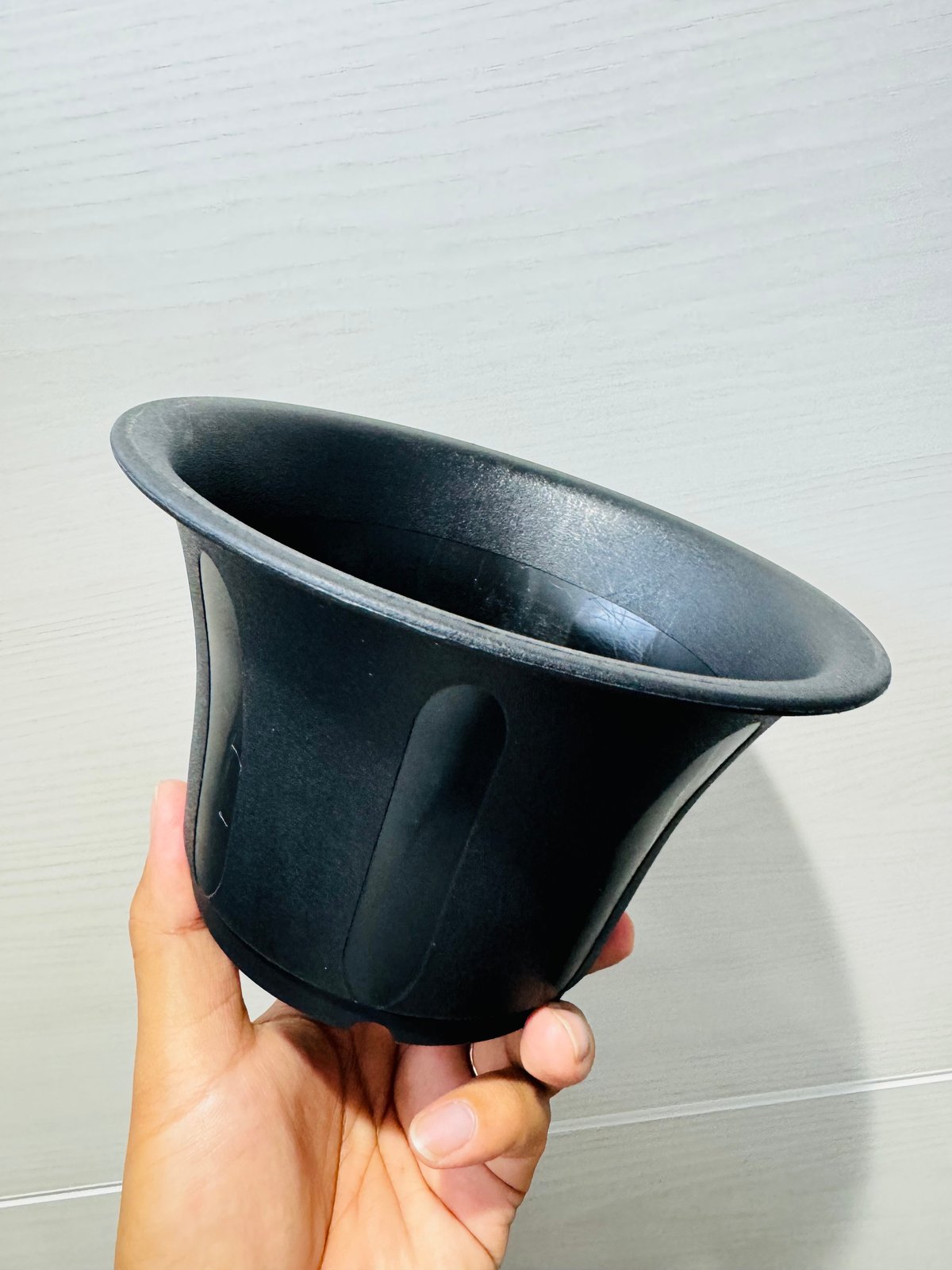 台湾6寸丸鉢×20個 | ever_plants