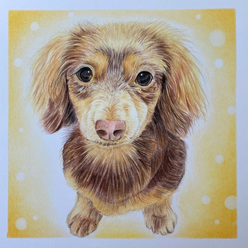 ペット肖像画2Lサイズ | ジーナのおうち 