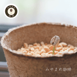 みやまめ珈琲