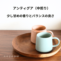 グアテマラ　アンティグア（中煎り）