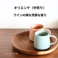 グアテマラ　オリエンテ（中煎り）