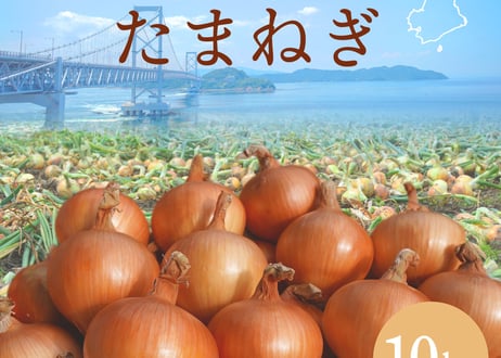 中原青果の淡路島産玉ねぎ 10kg