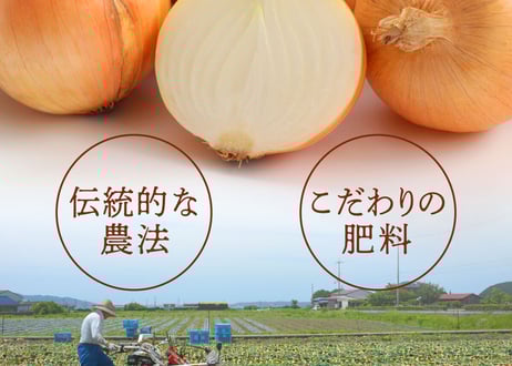 中原青果の淡路島産玉ねぎ 3kg