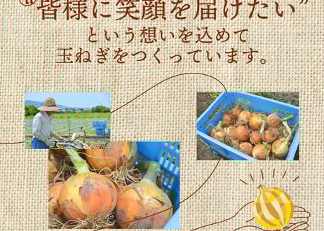 中原青果の淡路島産玉ねぎ 3kg