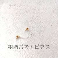 樹脂ポストピアス