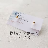 樹脂ノンホールピアス