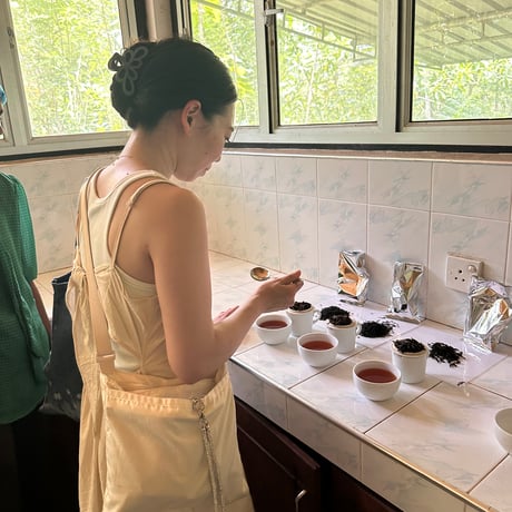 【定期便】M's Tea Journey ~心豊かな日常へ~
