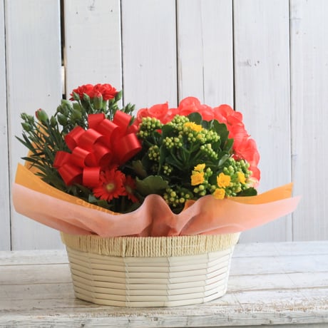 赤いカーネーションの花鉢アレンジ