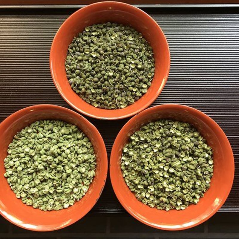 お一人様3セット限定】やまつ辻田 石臼挽朝倉粉山椒(限定品)4g