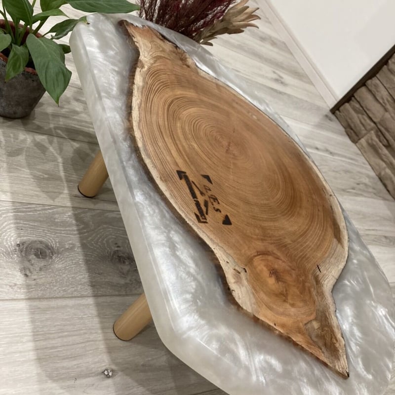 石川県発ガレージブランドa.E.s（エス）ケヤキの輪切りを使用した