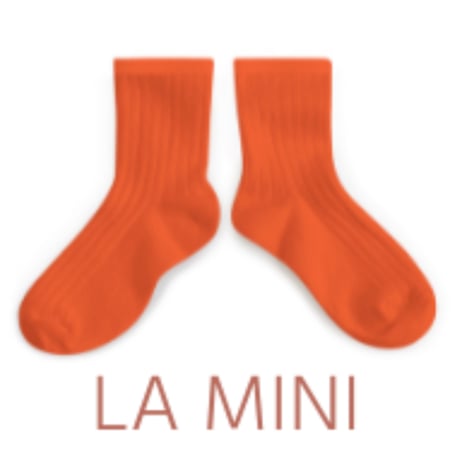 【限定コラボ】Collégien × Misha&Puff  - La Mini  | C40 Potiron