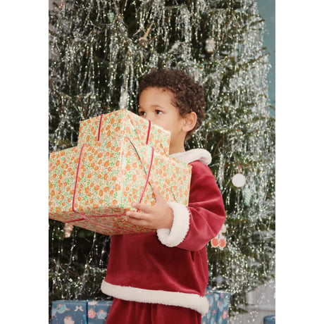 KONGESSLOEJD - CHRISTMAS SET GRS | Red Dahlia