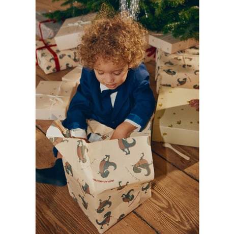 KONGESSLOEJD - Wrapping Paper |  Dino