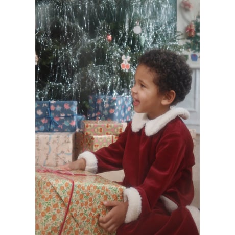 KONGESSLOEJD - CHRISTMAS SET GRS | Red Dahlia