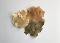 Support chips