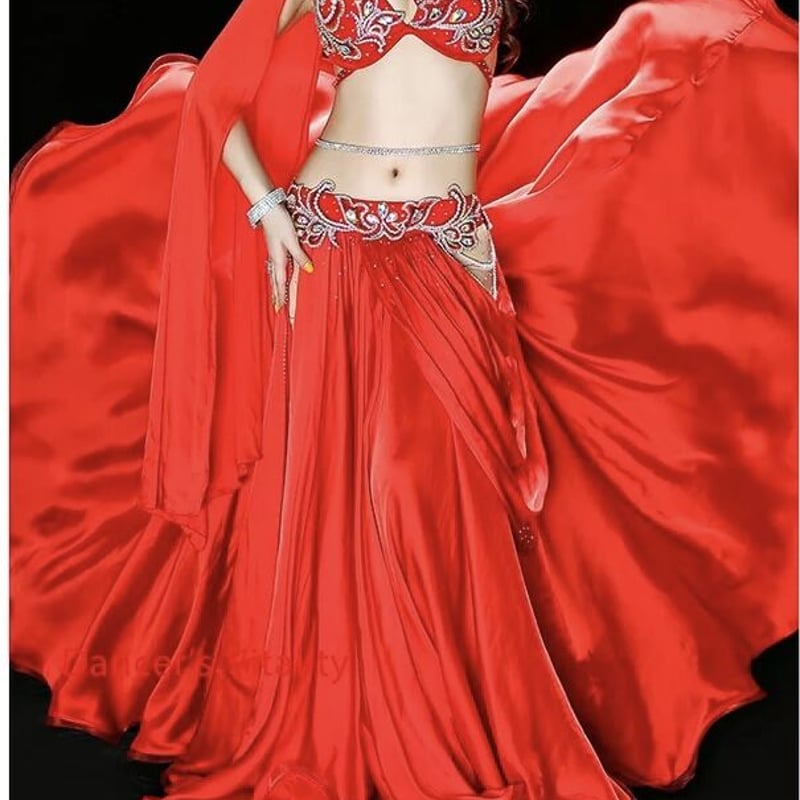 ベリーダンス オーダーメイド オリエンタル衣装 ベリーダンス衣装 オリエンタル衣装 セットアップ 豪華 オーダー