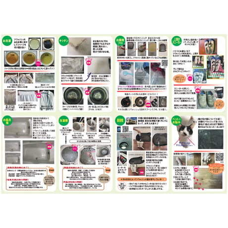 ジウォッシュ（多目的洗浄剤）800g（粉粒）
