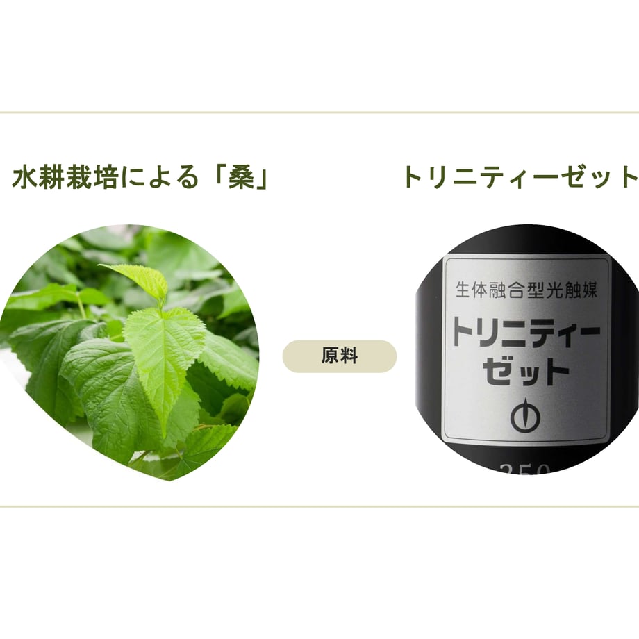 69e9e464a2eab24525741bee
