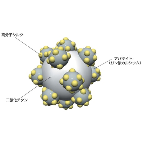 生体融合型光触媒トリニティーゼット®パウチ(12.5g×1包)【お試しサンプル品】