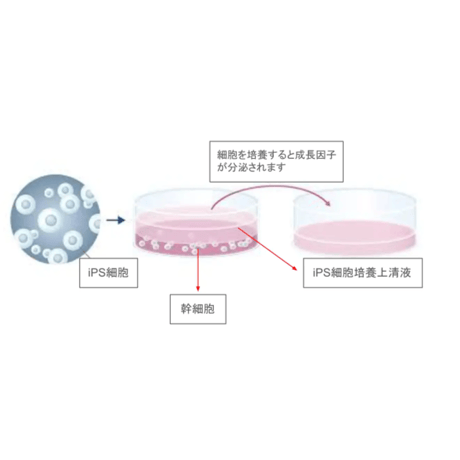 注入する美容液DERMA INJECTORダーマセラムリペア