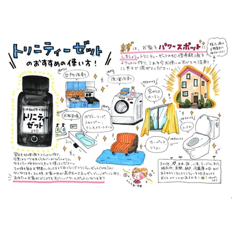生体融合型光触媒トリニティーゼット®パウチ(12.5g×1包)【お試しサンプル品】
