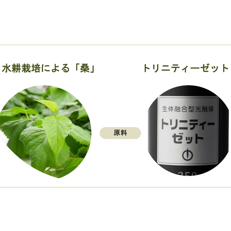 マグワリッチ コンセントレートホリスティックジェル （保湿ジェル