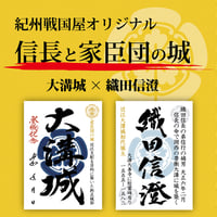 大溝城×織田信澄