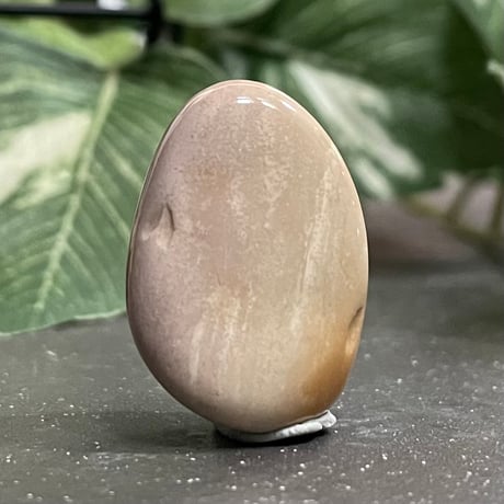 ムーカイト | STORES